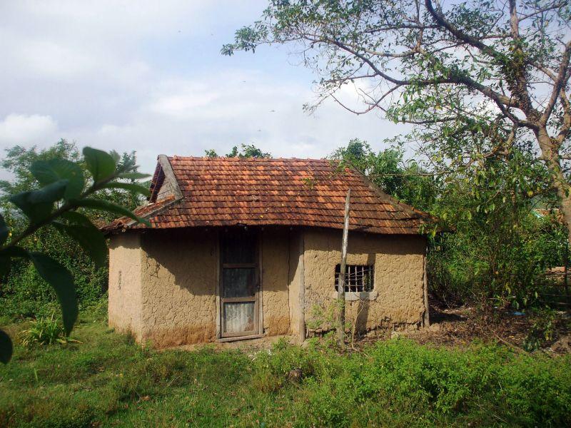 Top 9 Bài văn mẫu thuyết minh về tổ ấm gia đình em ấn tượng nhất
