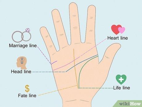 Khám phá đường chỉ tay hôn nhân: Độ dài, độ cong và những đặc điểm độc đáo