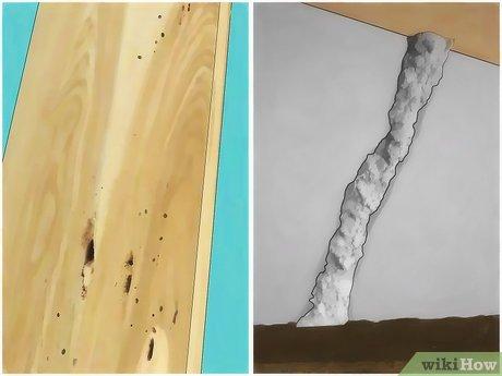 Cách để Diệt trừ mối