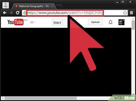 Hướng dẫn cách nhúng video YouTube vào website của bạn một cách dễ dàng