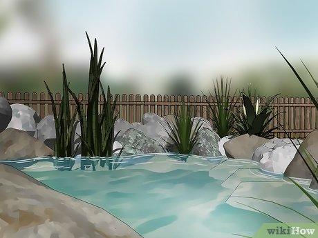 Bí quyết thu hút chuồn chuồn vào sân vườn