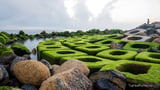 Phát sốt với bờ đá phủ rong rêu ma mị ở Phú Yên năm 2023