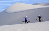 Kinh nghiệm du lịch đồi cát trắng Mũi Né năm 2023
