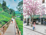 Những bộ ảnh du lịch của giới trẻ Việt khiến bạn vừa ghen tị vừa ao ước giá mình cũng được ở đó như họ - Kỳ 2 năm 2023