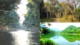Xanh ngắt một màu 5 vườn quốc gia lớn nhất nước Việt năm 2024