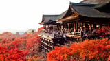 Top 7 thành phố bạn nhất định phải ghé khi đến Nhật Bản năm 2023