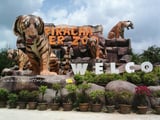 Công viên Sriracha Tiger Zoo năm 2023