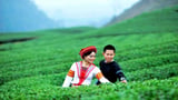 Ảnh này test ava