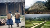 Ảnh này test ava