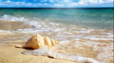 Bãi Sao - Bãi biển đẹp nhất Phú Quốc năm 2023