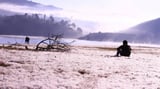 Khám phá 'cánh đồng tuyết' đẹp như mơ ở Đà Lạt năm 2023