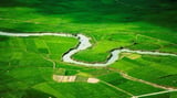 Mê đắm sắc xanh mơn mởn của ruộng lúa Bắc Sơn mùa hè năm 2023
