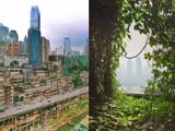 Trùng Khánh - thành phố kỳ lạ ở Trung Quốc không dành cho dân mù đường bẩm sinh năm 2024