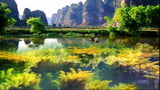 Vân Long - Bức tranh tự nhiên lớn nhất Việt Nam năm 2023