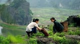Những danh thắng đi vào điện ảnh Việt hút hồn du khách năm 2024