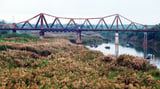 Mùa cỏ lau bên cây cầu trăm tuổi Long Biên năm 2023