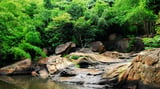 Thiên nhiên hoang dã kỳ vỹ của núi Dinh Vũng Tàu năm 2023