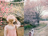 Mùa hoa anh đào về: Bạn sẽ ước mình đến ngay Nhật, Hàn để ngắm những cảnh đẹp này năm 2024