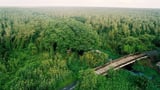 Trải nghiệm cuộc sống hoang dã nơi rừng rậm U Minh Hạ năm 2024