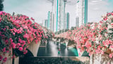 Thánh địa check-in mới toanh, đẹp như Singapore ngay giữa lòng Hà Nội năm 2023