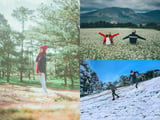 Ảnh này test ava