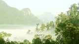 Vườn quốc gia Xuân Sơn năm 2023