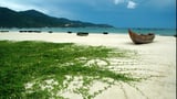 Bãi biển Mỹ Khê Quảng Ngãi năm 2023