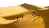 Bức tranh cát khổng lồ đầy mê hoặc của đồi cát Phương Mai - Bình Định năm 2024