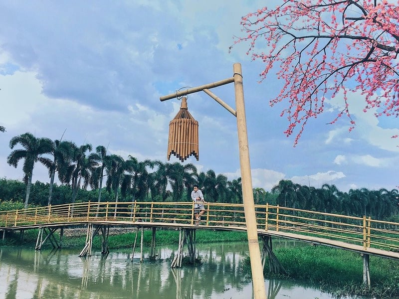 "Sốt xình xịch" công viên ngàn hoa mới toe ở Tây Ninh 