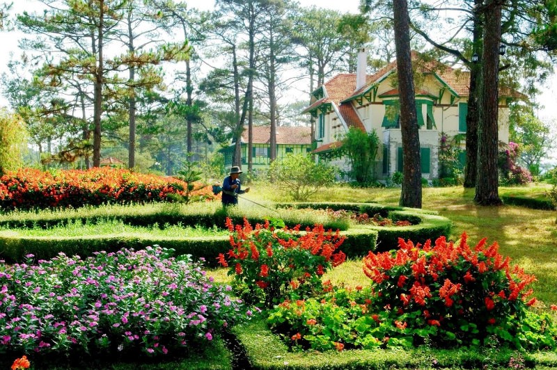 Top 6 quán cafe sở hữu view rừng đẹp chao đảo ở Đà Lạt - Kỳ 2