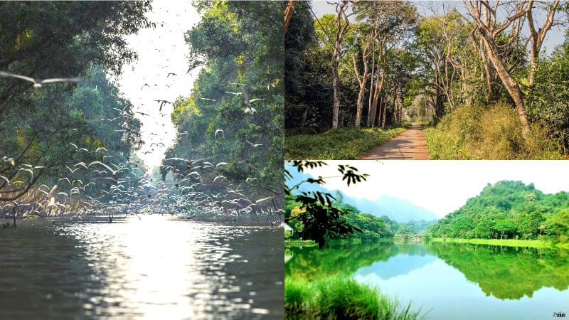 Xanh ngắt một màu 5 vườn quốc gia lớn nhất nước Việt