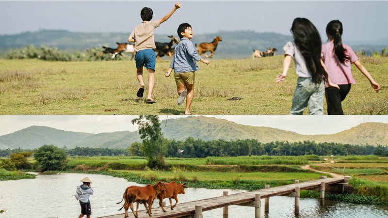 Ghé thăm Phú Yên để ngắm xứ sở 'hoa vàng trên cỏ xanh' đẹp hơn cả phim!