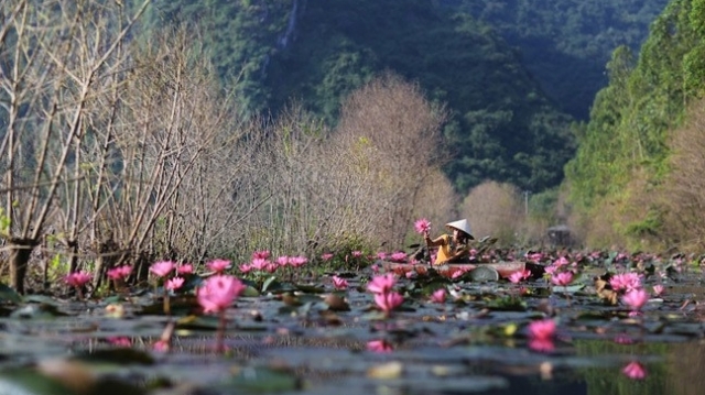 Đầu năm đi chùa: top 10 ngôi chùa đẹp nhất xứ Việt - Kỳ 1