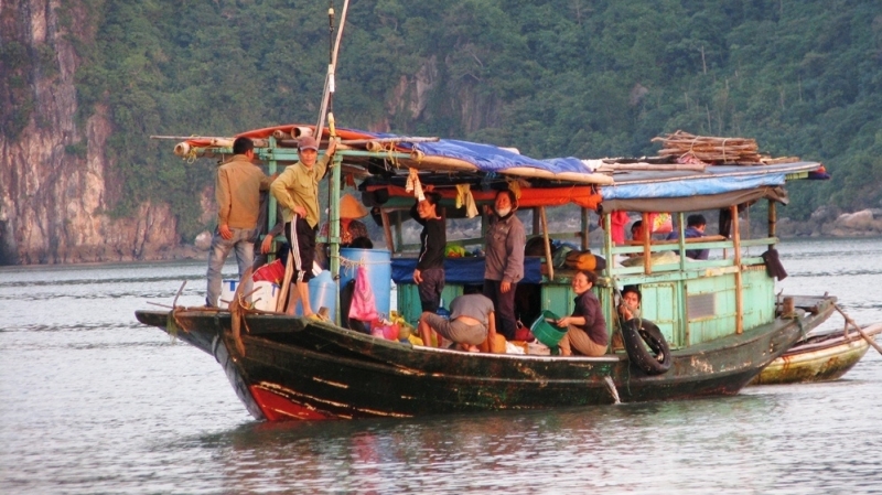 Săn ốc biển ở Quảng Ninh