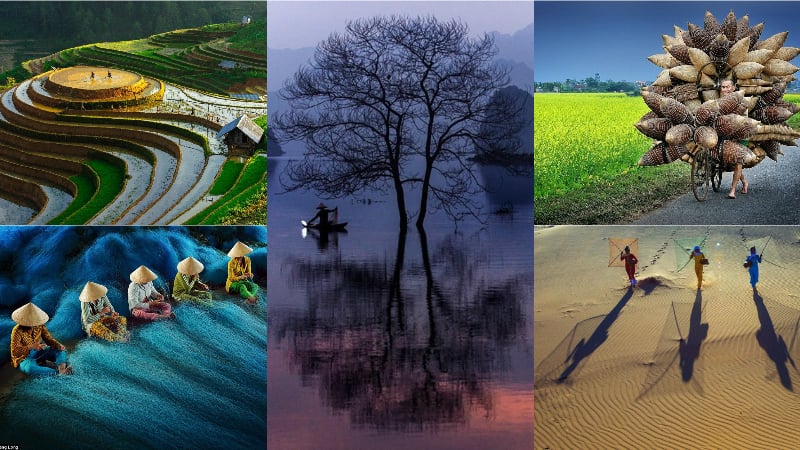 Việt Nam đẹp vô ngần qua những bức ảnh đạt giải thưởng danh giá