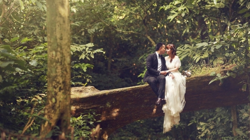 6 khu rừng chụp ảnh cưới đẹp ngất ngây ở đất Việt