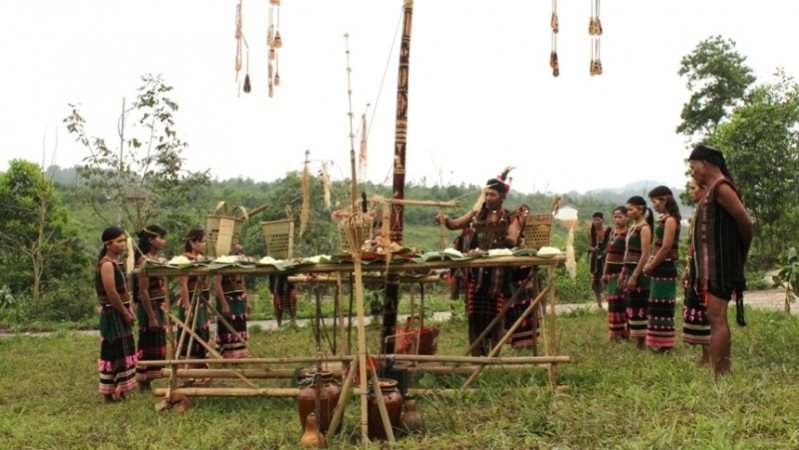 Người M’nông ở Đắk Nông làm lễ cắm nêu cúng lúa