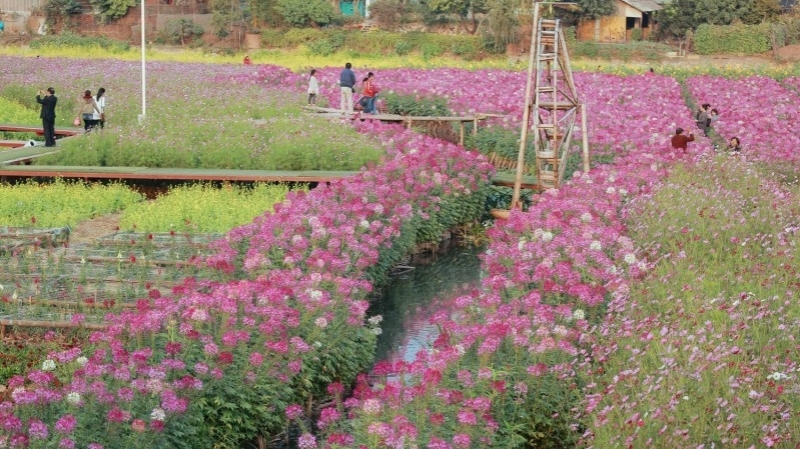 Lạc vào thung lũng hoa giữa lòng Hà thành