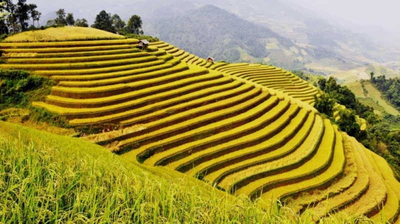Kiệt tác ruộng bậc thang Mù Cang Chải