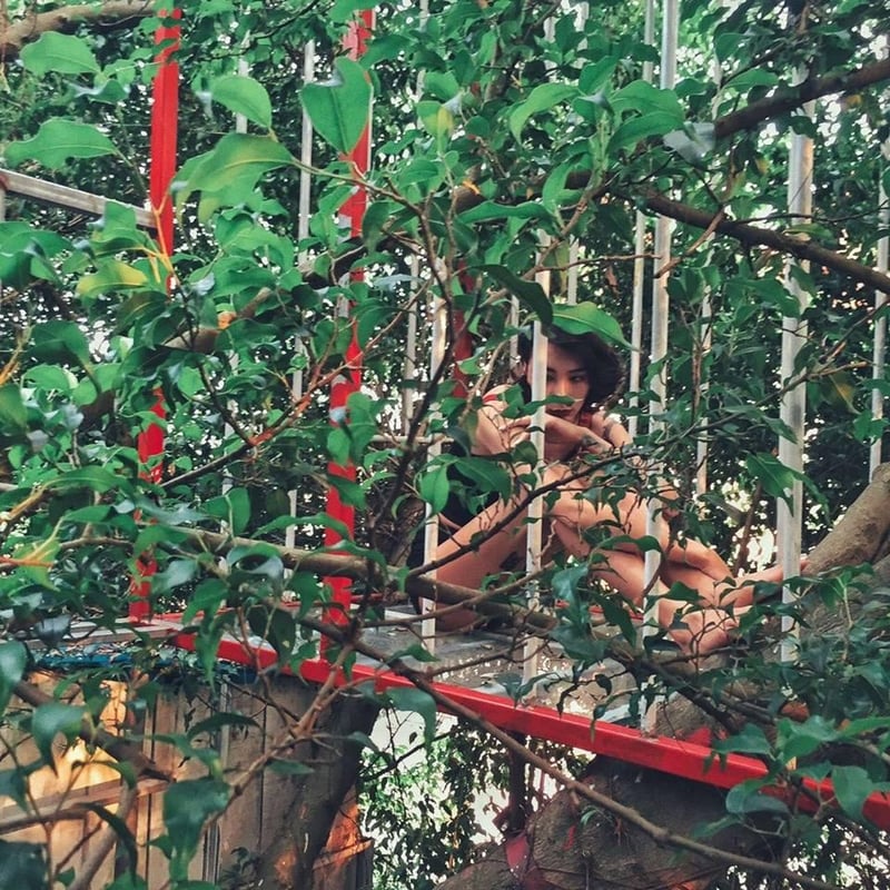 Hóa thân thành Tarzan tại ngôi nhà trên cây ở ngoại thành Hà Nội
