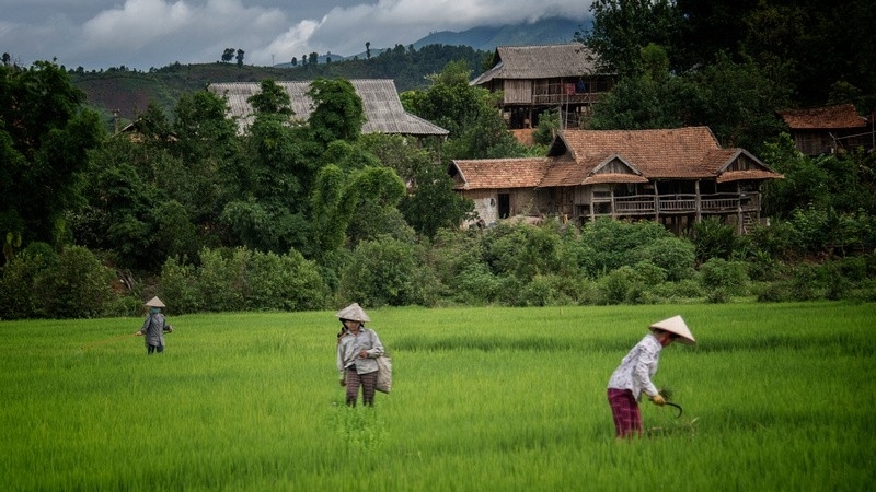 Việt Nam đẹp bình dị qua ống kính du khách Mỹ