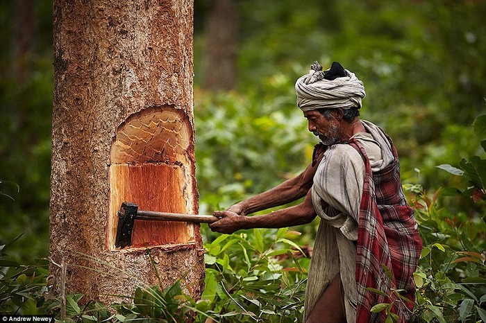 Tộc người săn khỉ làm thức ăn ở Nepal