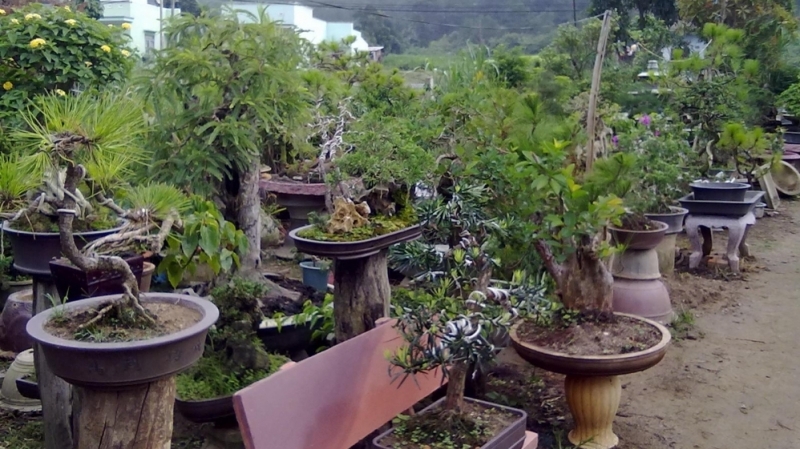 Làng vườn Bách Thuận