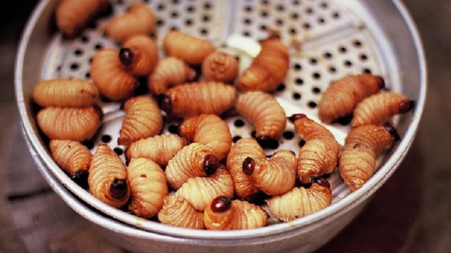 Những món ăn kinh dị ở Việt Nam khiến bạn rùng mình kinh hãi - Kỳ 1