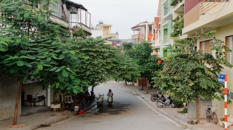 Vẻ đẹp con đường lãng mạn nhất Việt Nam mang tên cố nhạc sĩ Trịnh Công Sơn