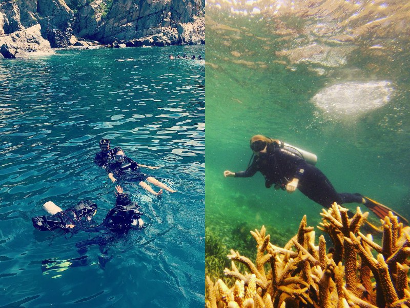 Lặn biển ngắm san hô ở 'thủy cung đẹp nhất Việt Nam'