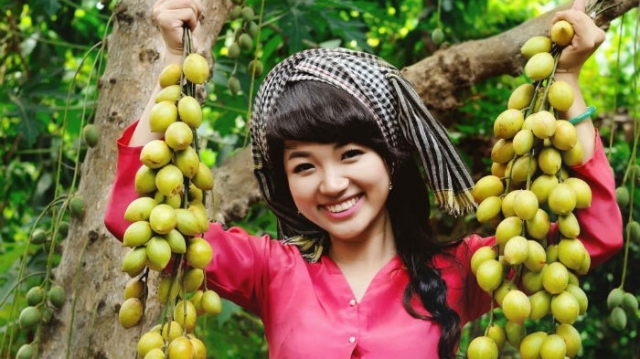 Tổng hợp những “vương quốc trái cây” ở Việt Nam - Phần 1