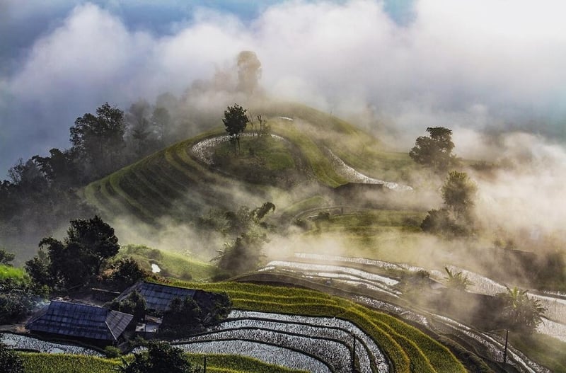  Mùa thu rủ nhau lên Hoàng Su Phì ngắm khung cảnh đẹp tựa tranh
