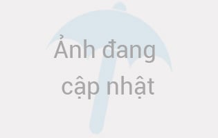 Bể bơi LVT 