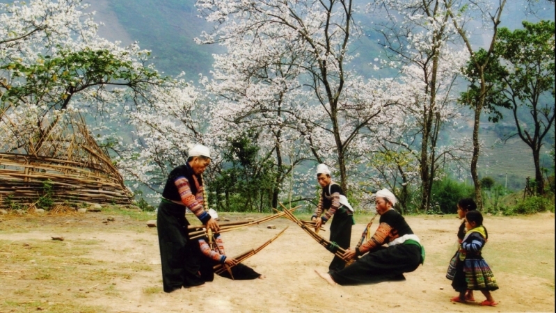 Du lịch Tây Bắc đón mùa xuân trên bản làng H’Mông